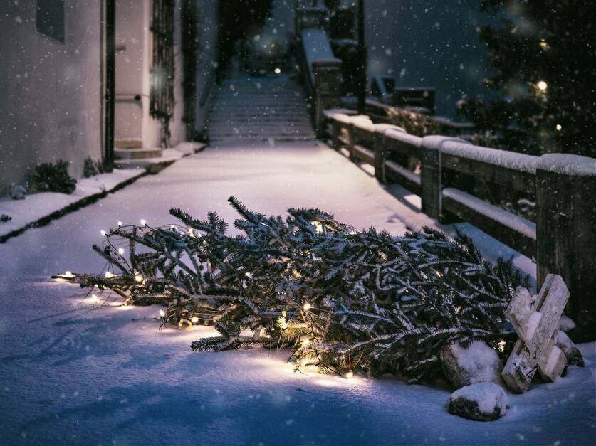 Weihnachtsbaum zur Entsorgung